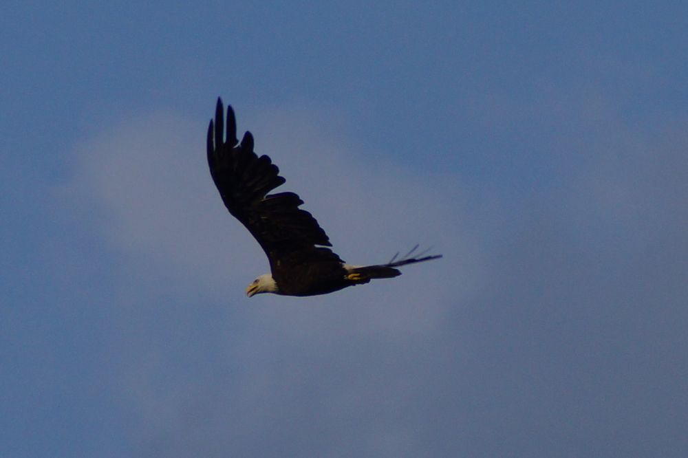 It also included a fly-by.