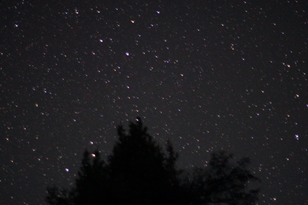 Much of Sunday night was spent running around the lake trying to find a flat horizon looking NNW to catch a glimpse of comet NEOWISE.  We had plenty of stars and satellites, but no comet. Here's hoping for a clear night or two next week as NEOWISE rises higher in the evening sky.
