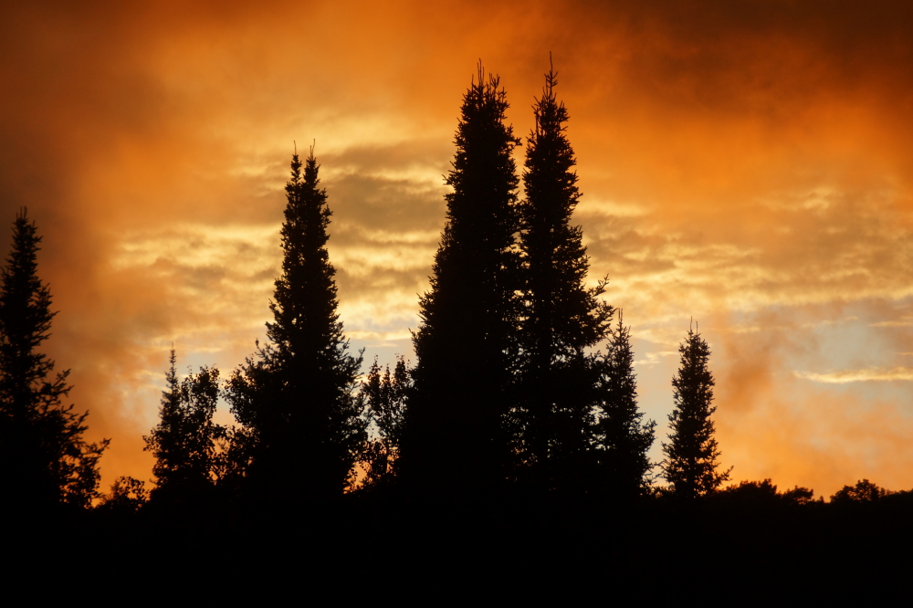 The unsettled weather made for some amazing sunsets.