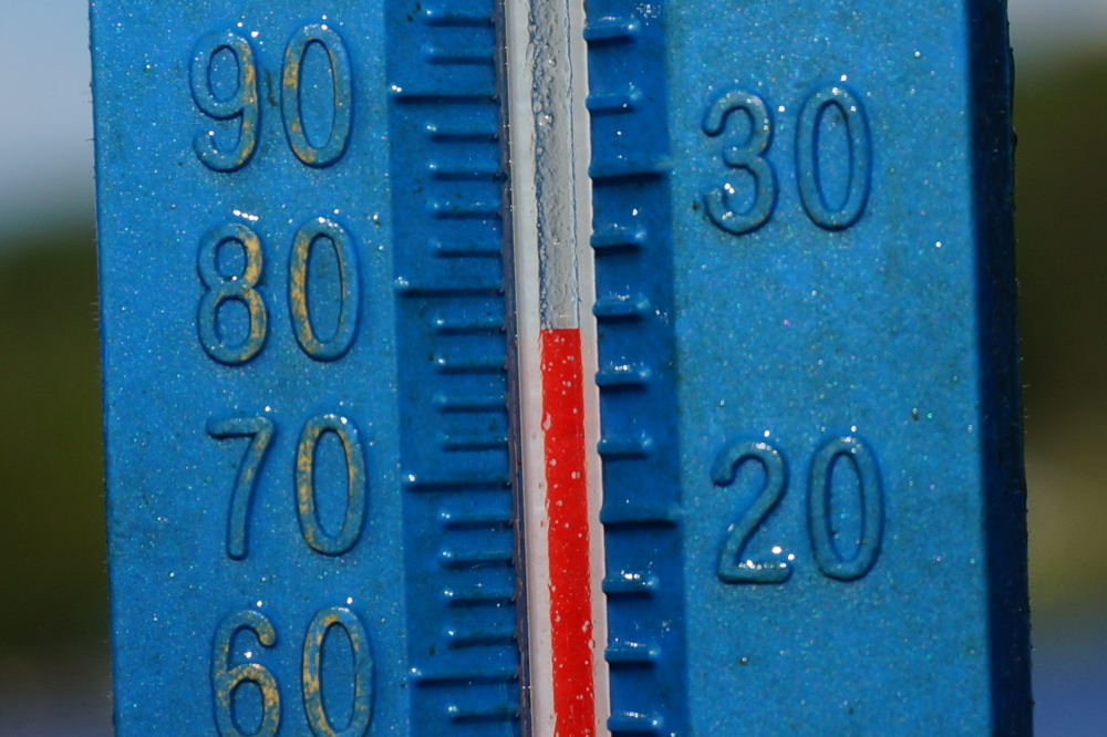 The lake temperature is holding at 78°F. It's not the 80°F of weeks past, but warm enough to make getting splashed in the face near a sea wall more fun than shocking.