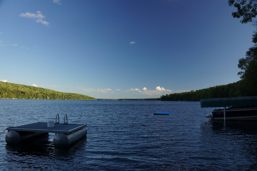 This is the part of the Summer that requires maximum effort. Skiing, swimming, diving, golfing, Rafto, and more, while yet not codified into law, are understood by many to be a mandatory part of mid-July.  This makes rainy days a time for the tanned and increasingly gimpy to catch our breath and convalesce.  Personally, I've been Ibuprofen free now for over 2 days and don't scream so much when getting out of a chair. <br><br><br>-Nemo's playing through the pain, eating a few blueberries.