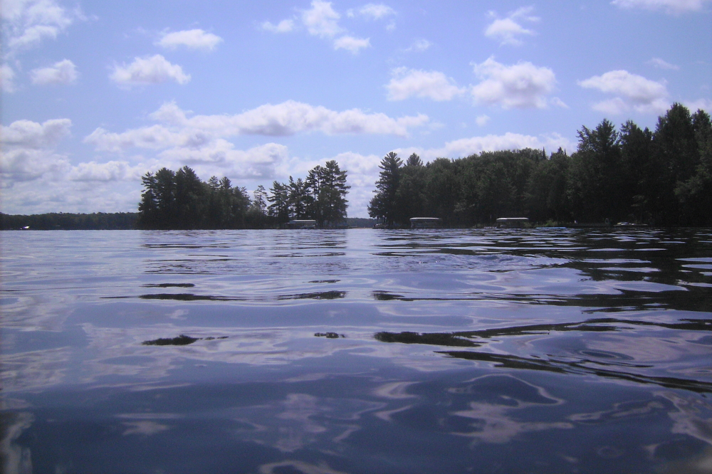 On Friday, Mrs. Nemo and I snorkeled up and finned out from the show dock to search for the pants..