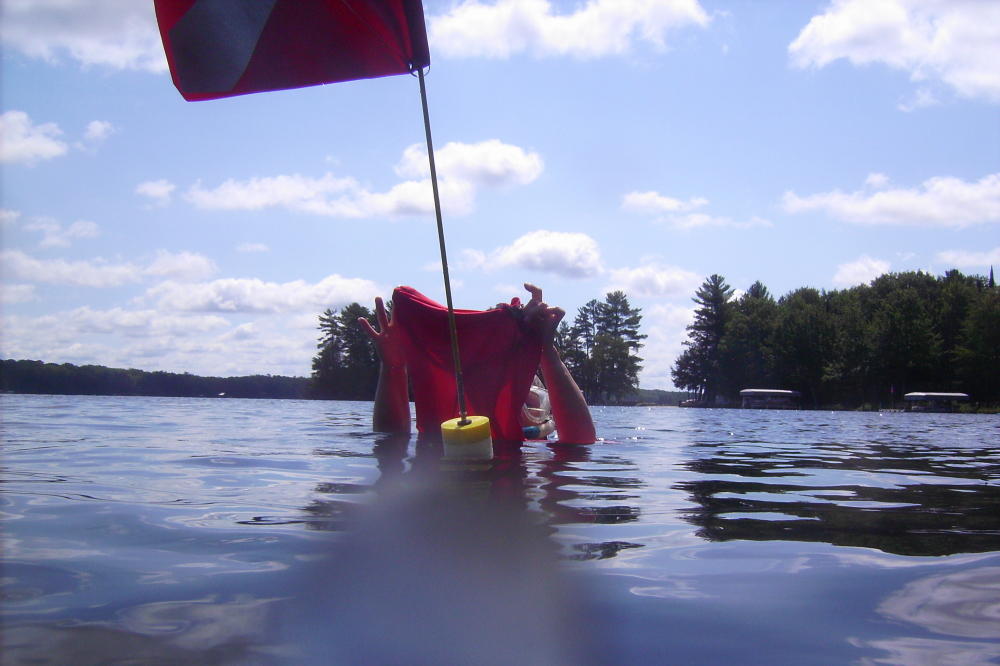 Mrs. Nemo found and retrieved them. Huzzah!