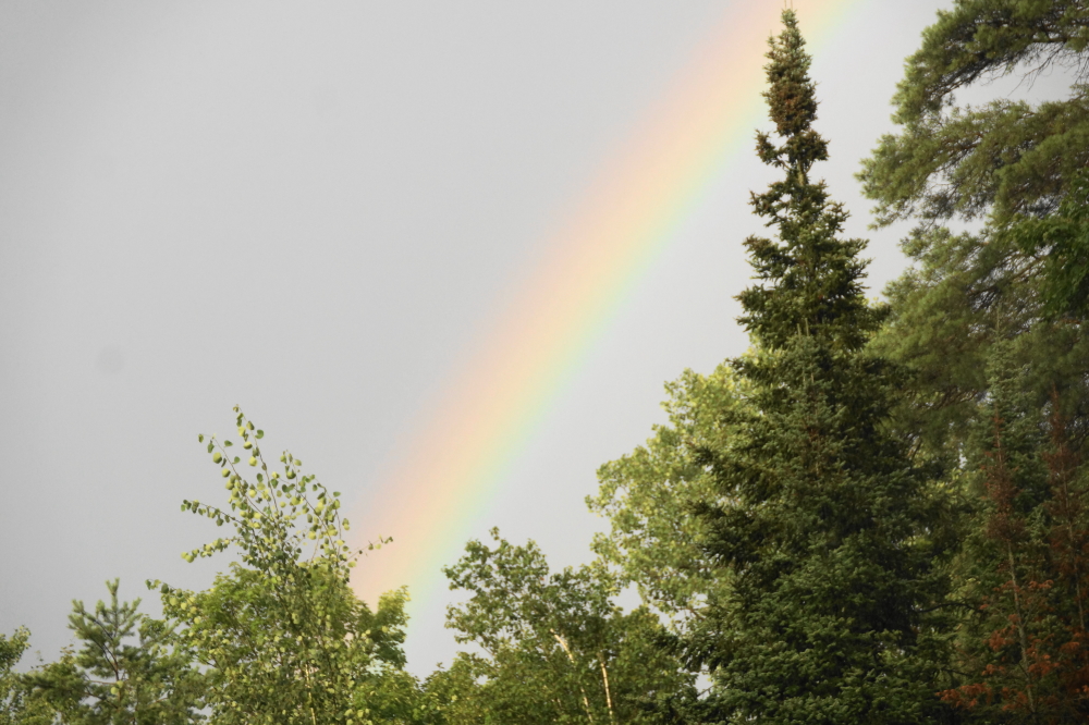 After about a half an hour, there was over half an inch in the rain gauge and a rainbow overhead.