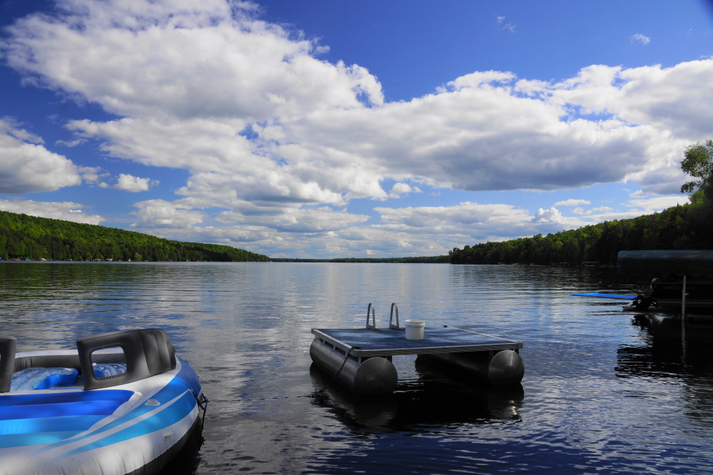 The rain on Sunday brought with it cooler weather. The lake area got just under an inch of rain for the week, making it one of the dryer weeks in recent memory. Parts of many lawns remain en-puddled, making mowing a difficult and muddy prospect. Some went so far as to fake their own deaths to avoid lawn maintenance, but their deception was uncovered and I was strapped to a mower and sent out to the green sea. I can't be sure, but I thought I heard a squirrel laughing.<br><br><br>-Nemo's stocking up on BBs and other materiel.