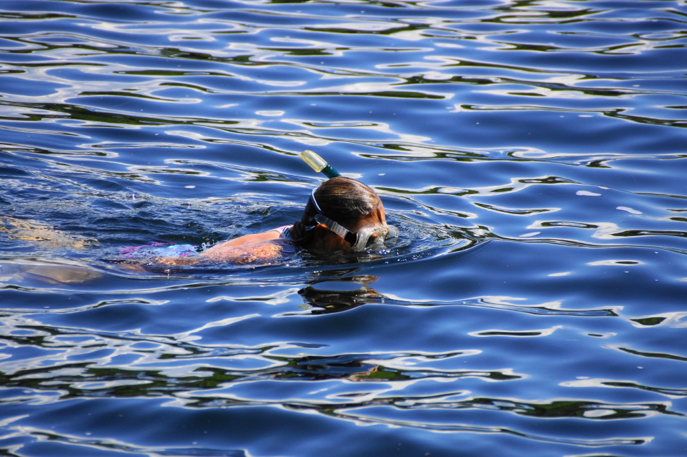 The traffic on the lake grew heavy on Saturday. Many spent much time in, on, and under the water stopping only to grab a brat from the Lake Lucerne Advancement Association's brat and hot dog fund raiser. They ran out of brats far before we dragged our water logged bodies out from under Lucerne.