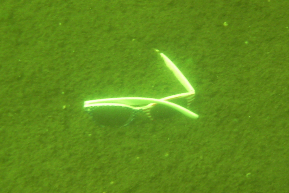 On Friday, we dove for the sunglasses, finding them in about 15 feet of water close to 150 feet from the shore.