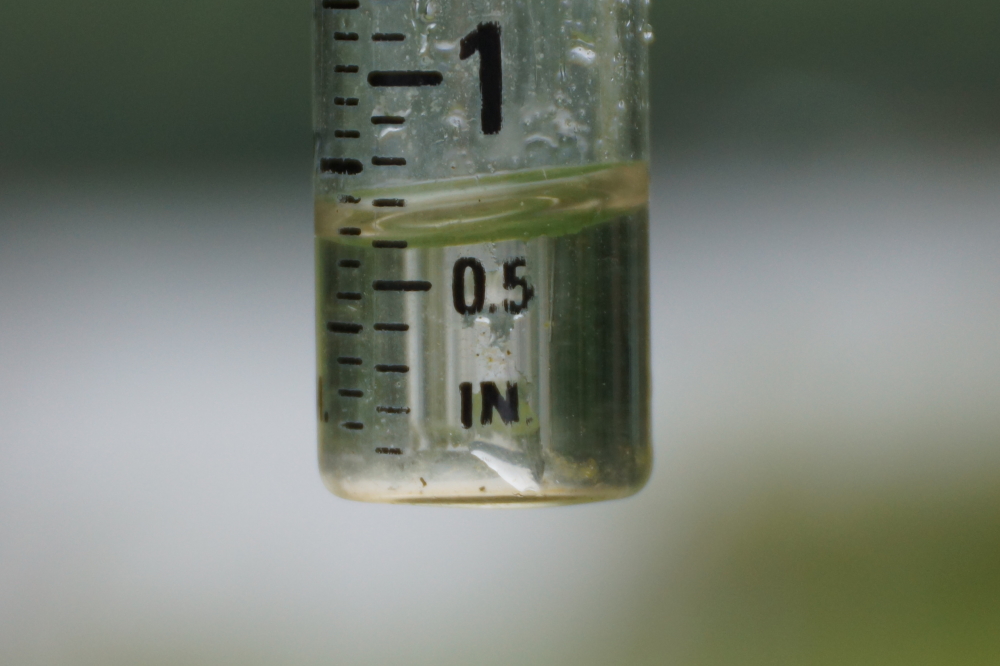 There was also rain. Two wet events book ended the week and altogether added about an inch to the lake level. The lake is not going down much from its record high levels.