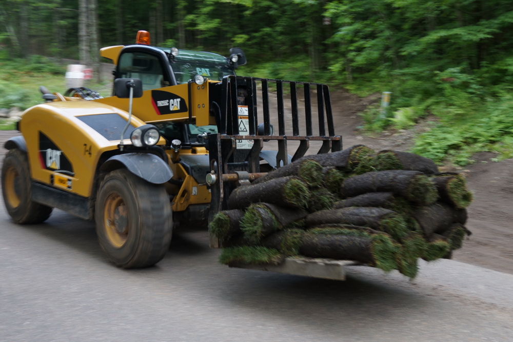 A few on the North end of the lake converted pallets of sod into shiny new lawns.