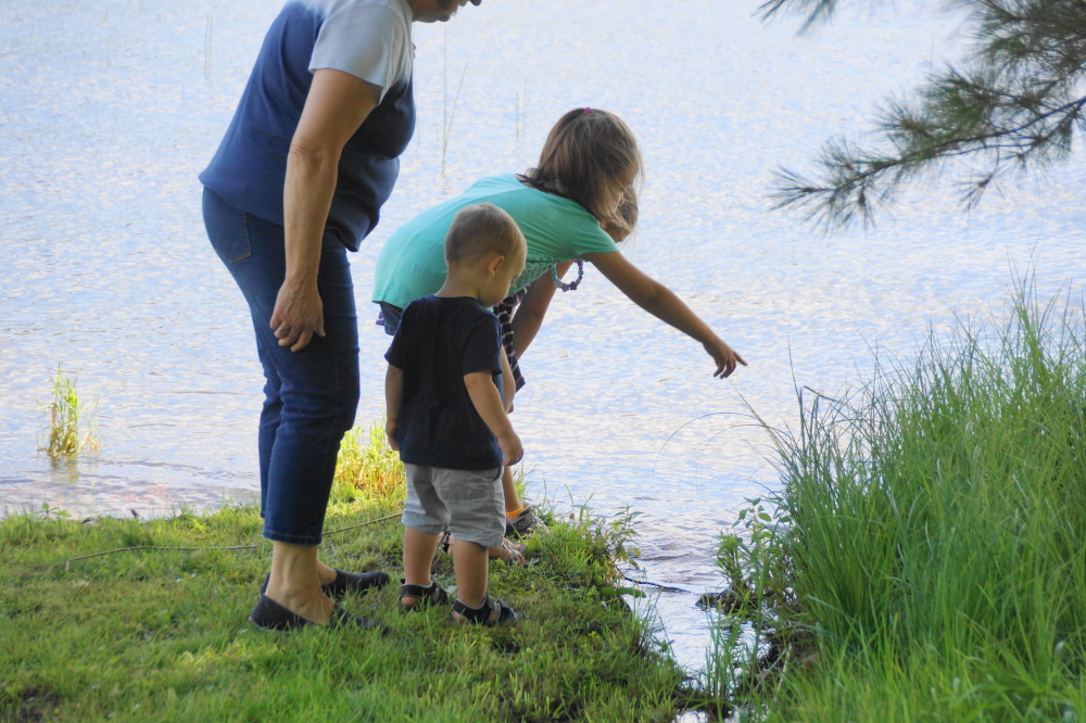 Not everybody was grumpy with the clouds of insects.  A crack team of Knott Lane frog finders report that the local amphibians are plentiful, fat, and happy with the flying buffet of bug.