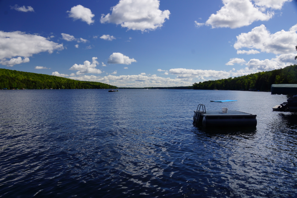 Along with a few bazillion bugs, there was also sun, warmth, and swimmable water.  Now is the time to ignore injuries and exhaustion and cram as much into the rest of Summer as is possible. There are many that believe that it's shameful to enter Fall without a limp. Recommended limp inducing events include, but are not limited to, bad ski runs, cross legged sitting near toe grabbing carpeting, and anything prefaced with "watch this".<br><br><br>-Nemo also spotted a frog.