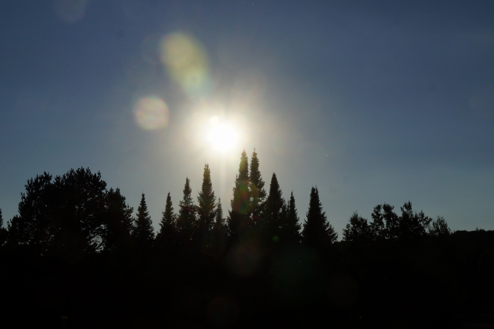 On Sunday, not more than 2 hours after the sun set in a cloud free sky, a rogue storm baptized the lake with another 0.15 inch blessing.