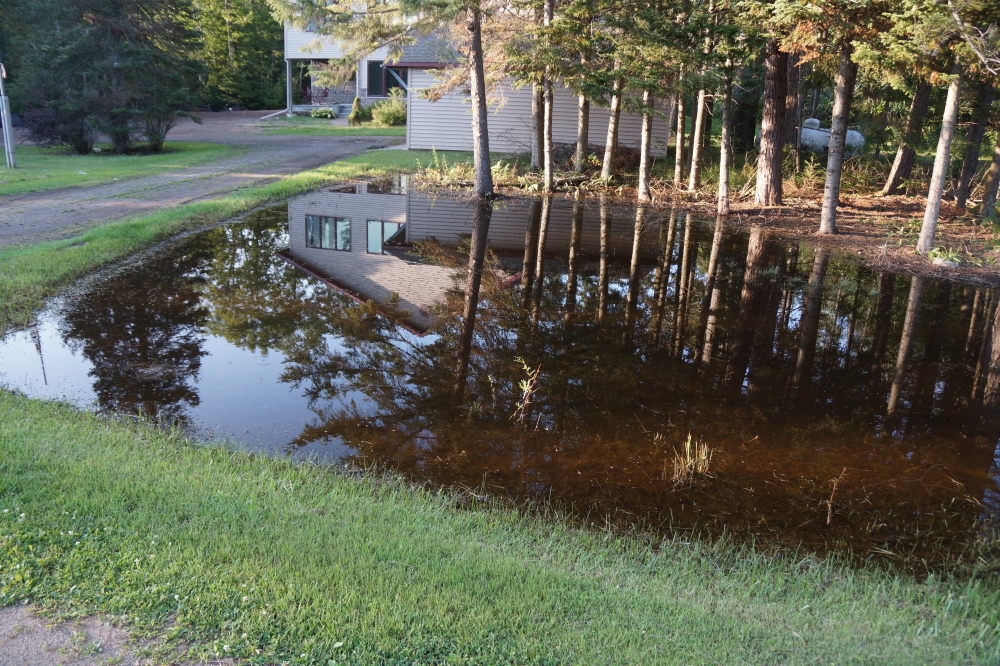 The yard puddles are back and seem deeper than ever.