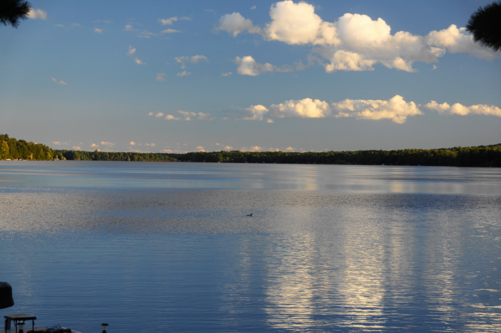 Not only is Lucerne's temperature lower, so is the lake level. It dropped 6 inches in August with most of the decline occurring in the last two weeks. It's still <a href='/LakeLevel/LL2.html' class ='defaultlink2' target='_blank'>30 inches above the norm</a>, but the dramatic decline is somewhat unsettling.