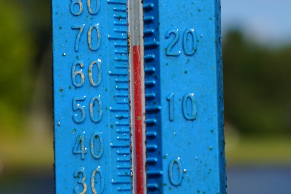 The lake temperature has dropped below 70°F. This  inevitable consequence of the cool has made swimming and diving less popular while shivering is trending.