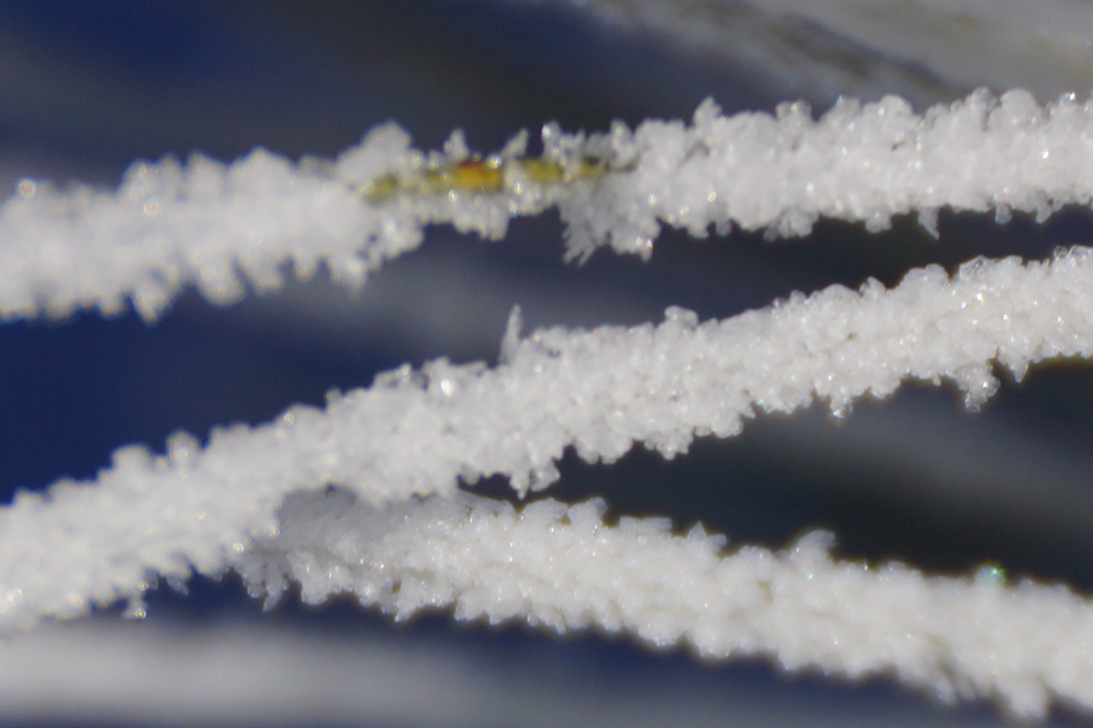 The sun would burn off the fine crystals by noon.