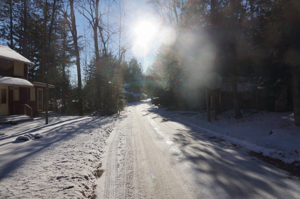 Knott Lane also has its share. No running there either.
