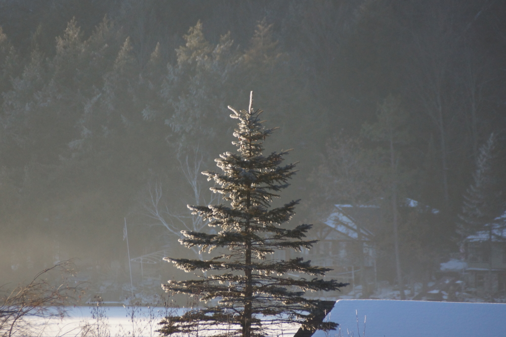 And there was hoarfrost.
