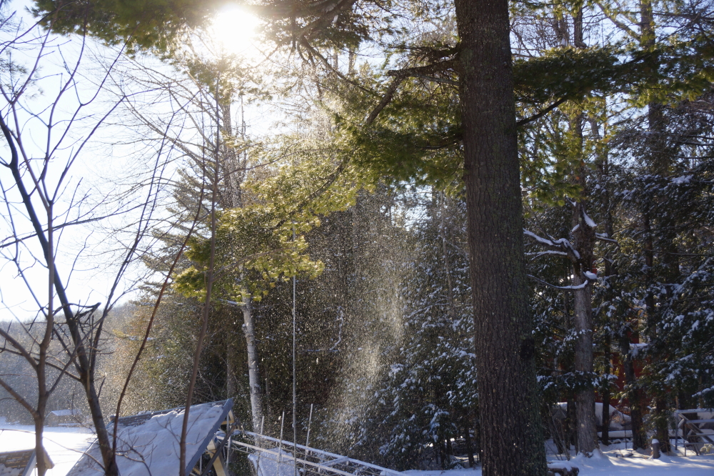 With the slightest breeze, the trees would shed those inches and a cold, shimmery whiteout would fall onto the ground and the hats of those standing on it.