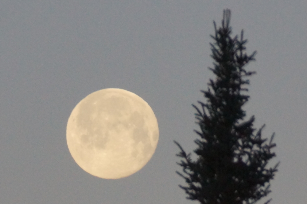 The lake was bathed in moonlight for many of the nights, too.