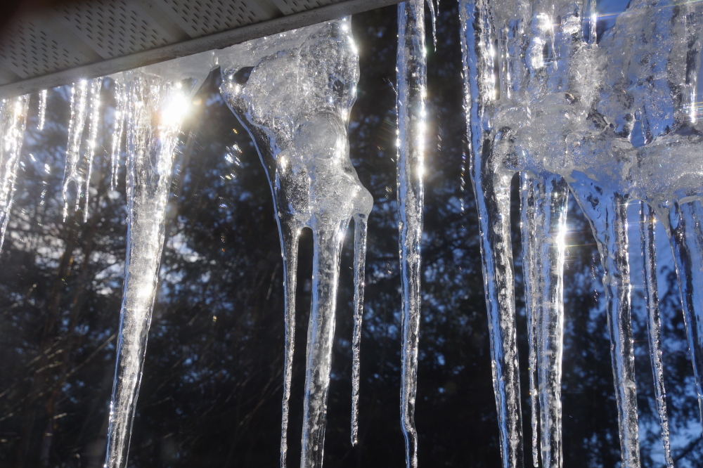 The warmth and sun had icicles becoming the dominant fashion statement of every trendy, heated domicile.