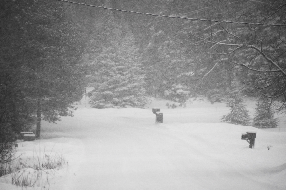 Just after mid-week, that all changed. Deep Winter came back with a "love tap" that started with some snow.