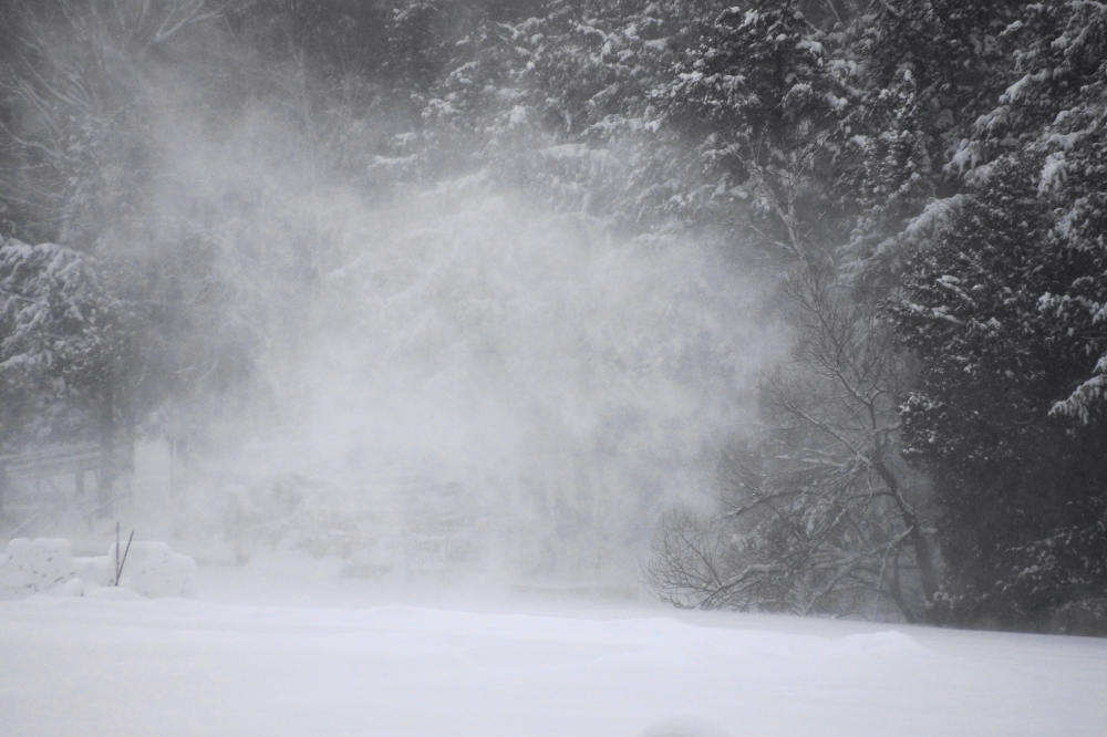 The wind picked up and blew snow from the trees and ground to form impressive drifts.