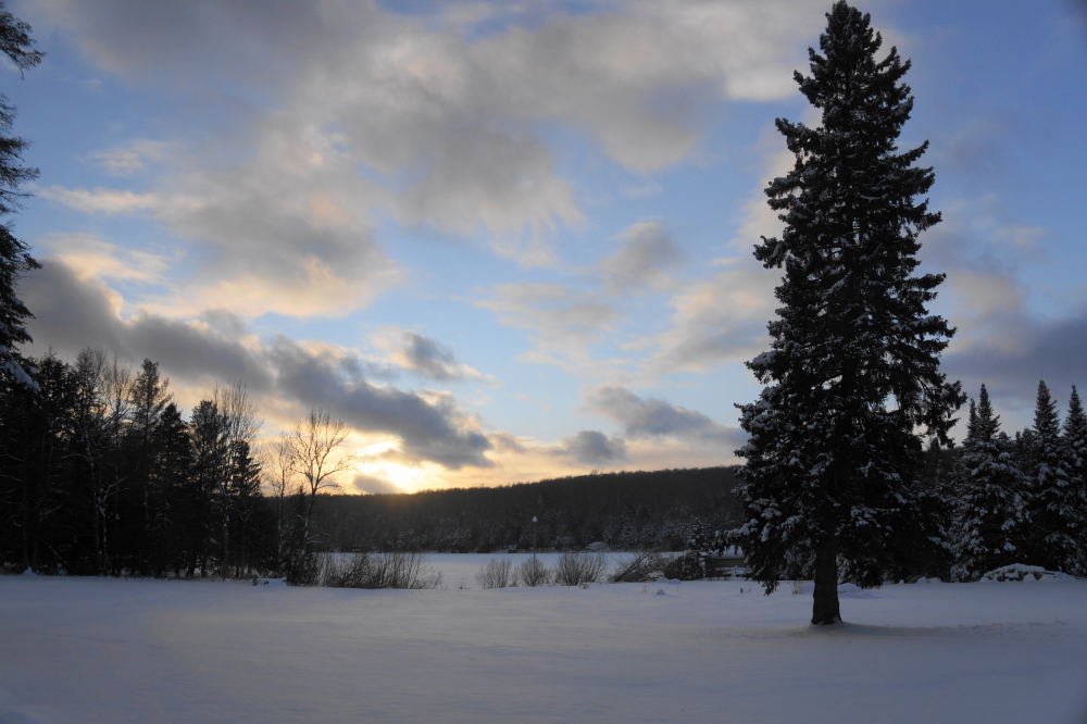 Then the clouds faded away along with any hint of mild in the temperature.