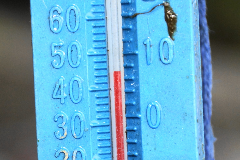 The lake temperature was at about 45°F on Sunday. Looking at the forecast, we are confident it will be even colder by the end of next week.