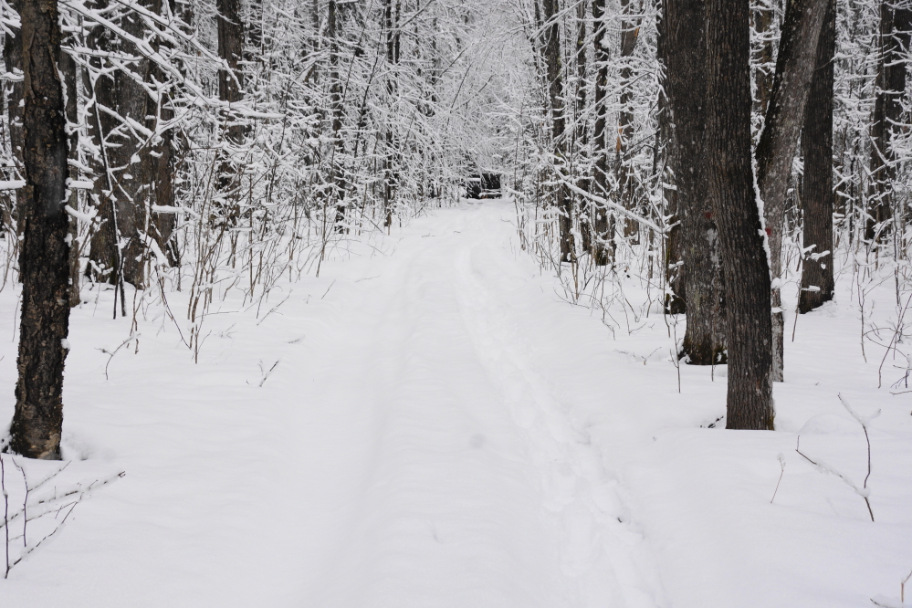 Zombie Winter dumped about a half a foot of fresh snow on the area. The strong wind that came with the storm swept some areas clean and drifted others almost 2 feet deep.
