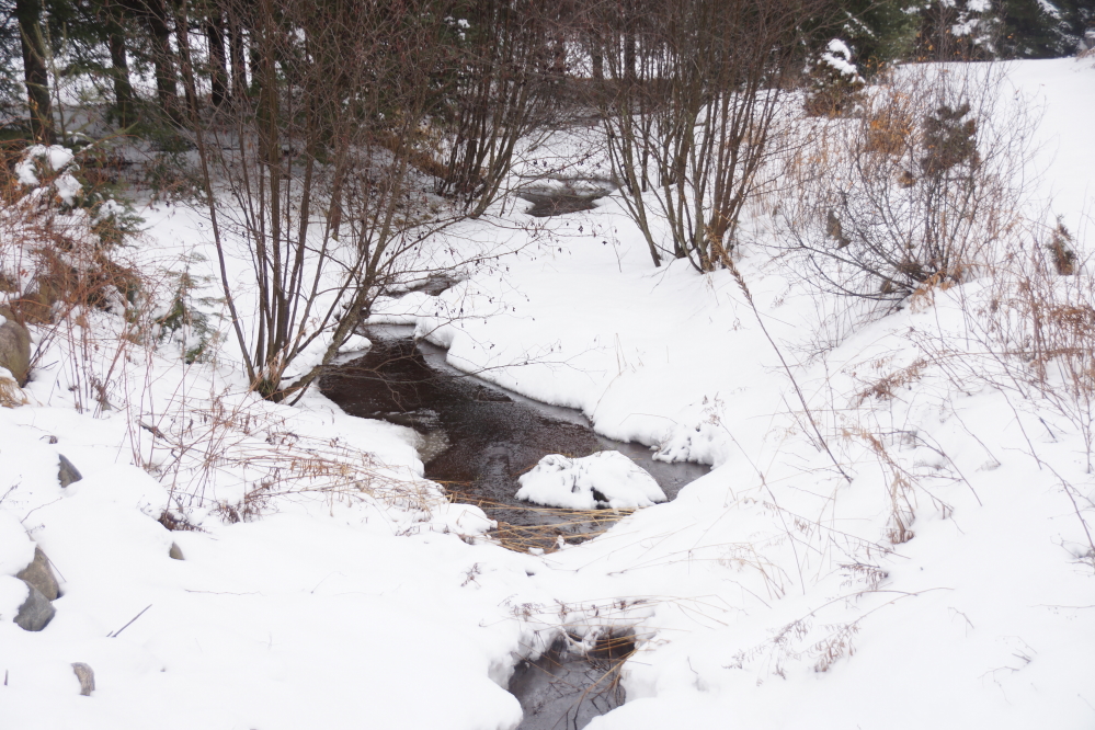 The snow, ice, and cold did not stop the creeks and streams from flowing. The lake is gonna be up this Spring (if Spring ever gets here).