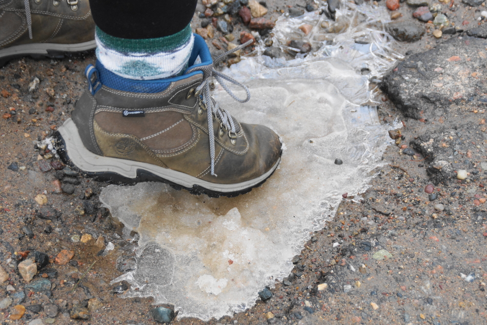 Some lanes were plowed and had their water filled pot holes frozen over. Fortunately, Mrs Nemo was there to step on them and break the ice.