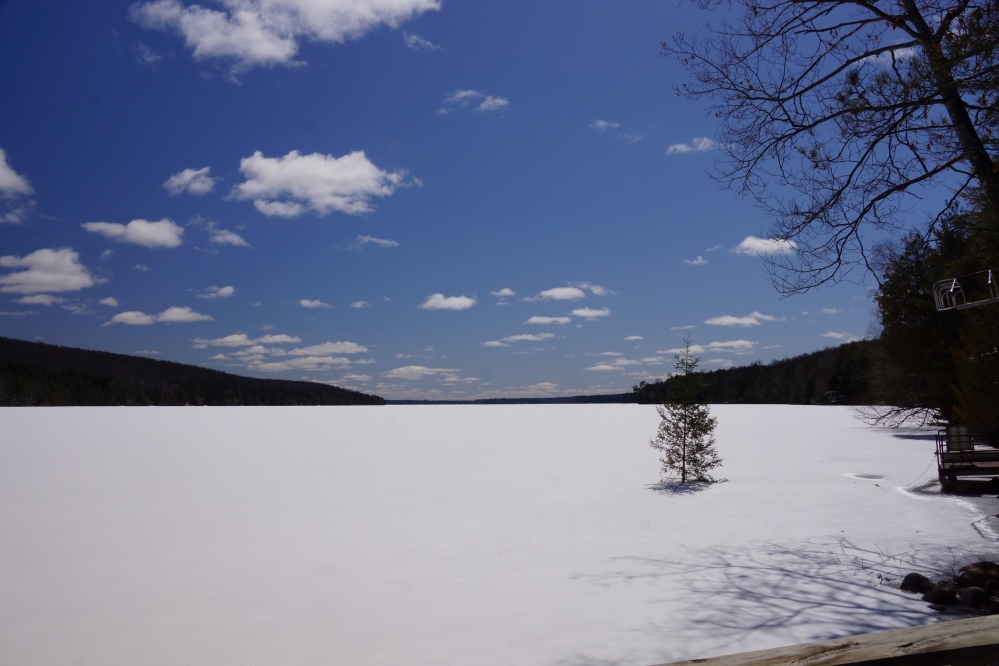 Last week began with with more than a whiff of Winter. There was cold. There was snow. There was booing every time we looked out a window. That all changed as the week progressed.