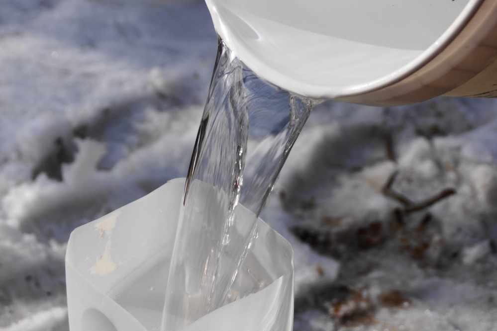 The frighteningly cold nights and the mild days had the trees running hard again.