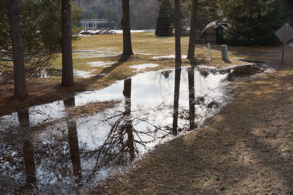 There were also some impressive lawn puddles.