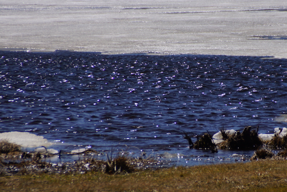Strong winds from the South on Sunday made the cracks bigger and the bits of open water angry.