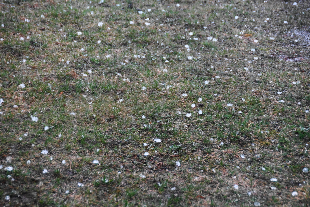The wind was eventually joined by rain. Then precipitation of a more solid nature. Some of the hail stones were over an inch. 
