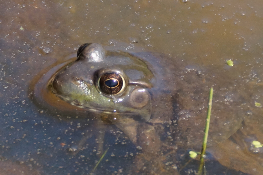 Some were more happy with the rain and warm than others.