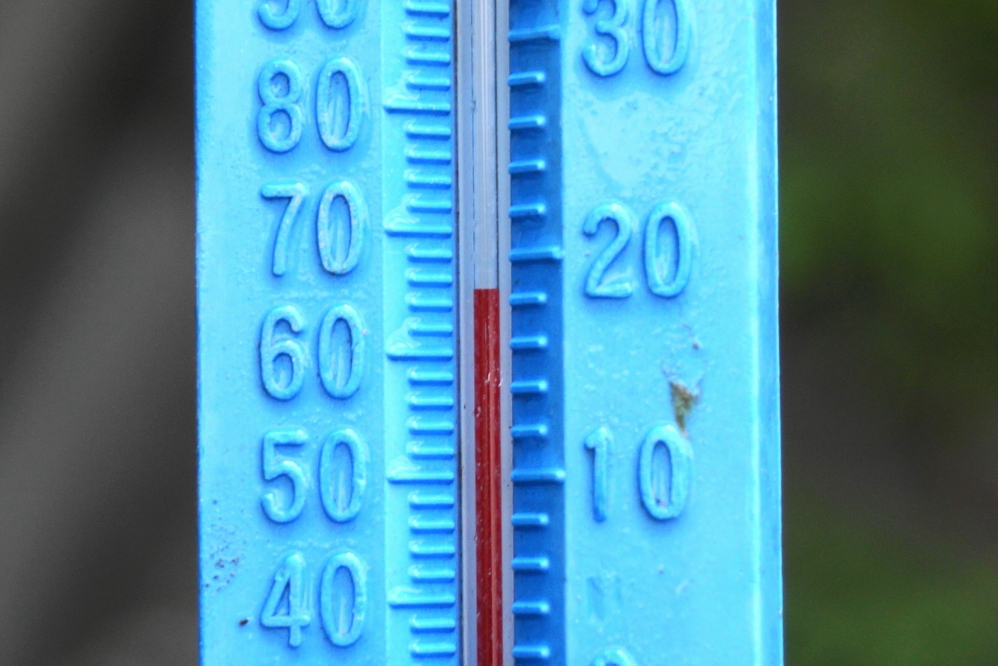 By the end of the week the sky was more clear and the lake temperature crept up to 65°F