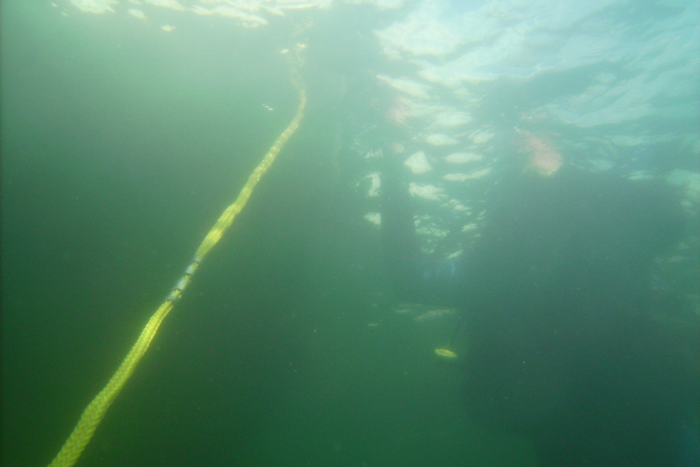 The more experienced diver had brought and subsequently donned his gloves.  We went back down with the gloved diver searching the bottom while the barehanded gentleman kept an eye on him while hovering just above (and sometime falling below) the thermocline.