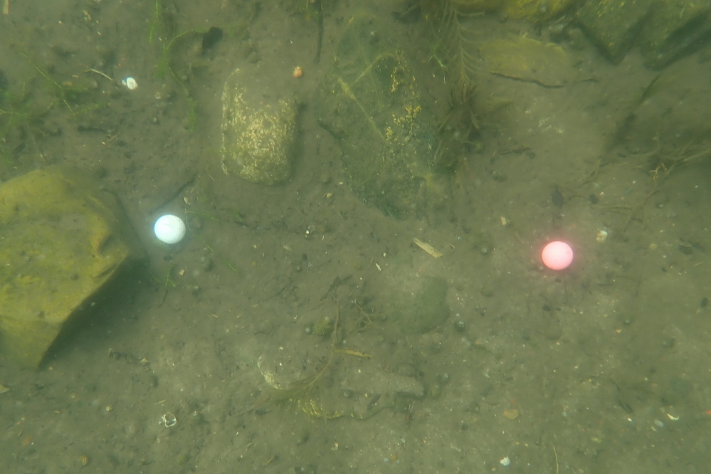 The clarity made spotting golf balls chipped at the raft easy to spot at depths of over 15 feet.