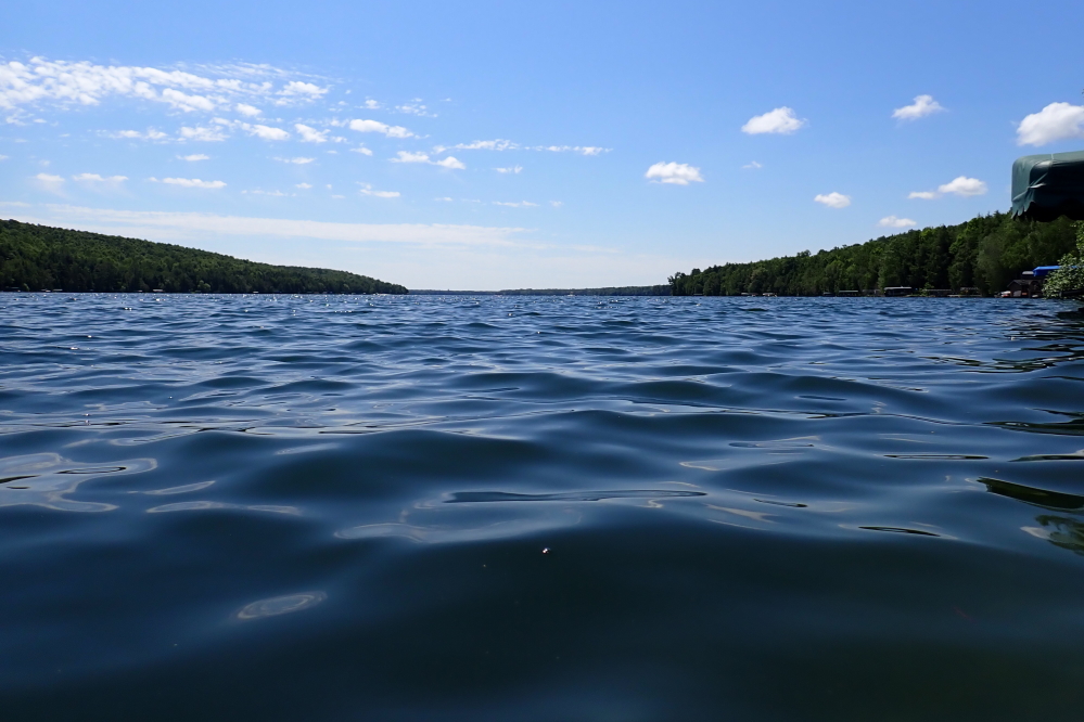 Last week could be best described as fantastic, but we would expect nothing less during the middle of July in the northwoods.  The lake has been especially flat as of late, making for some great skiing. I'm sure there are some aside from the ski show, but there seems to be far fewer footers so far this summer. What the lake is lacking in footers, it's more than making up for with pontoon boats. Not sure if that's a sign of an aging lake population or a reflection of current gas prices (a footing run around the lake requires far more go-go juice than a leisurely tour). What ever your water transport, if you pass by the Knott Lane dock, you'll get a smile and a wave.<br><br><br>-Nemo's happiest between the surface and the thermocline.