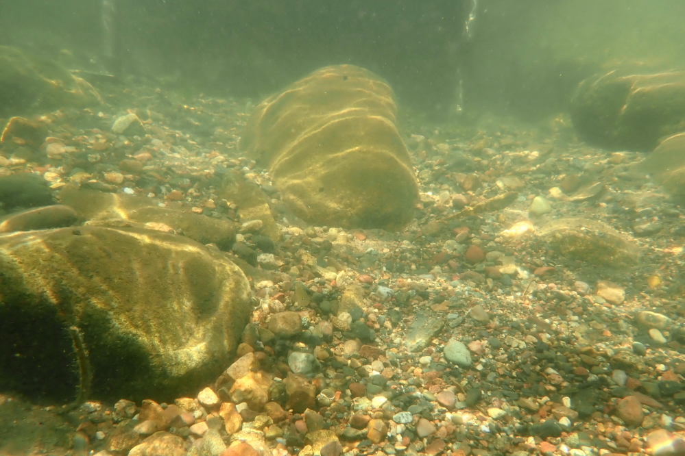 The water clarity remains, as always, super clear even as the lake warms up to its summer highs. The north end of Lucerne made it to 77°F on Sunday.