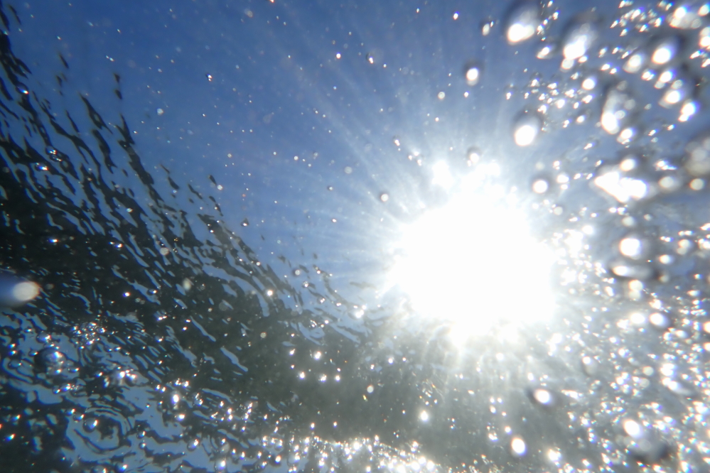 The best way to beat the heat last week was to get under the lake. Fortuitously, I also had a third of a tank of air to burn before having the tank filled. This confluence of resources was to lead to underwater adventures!