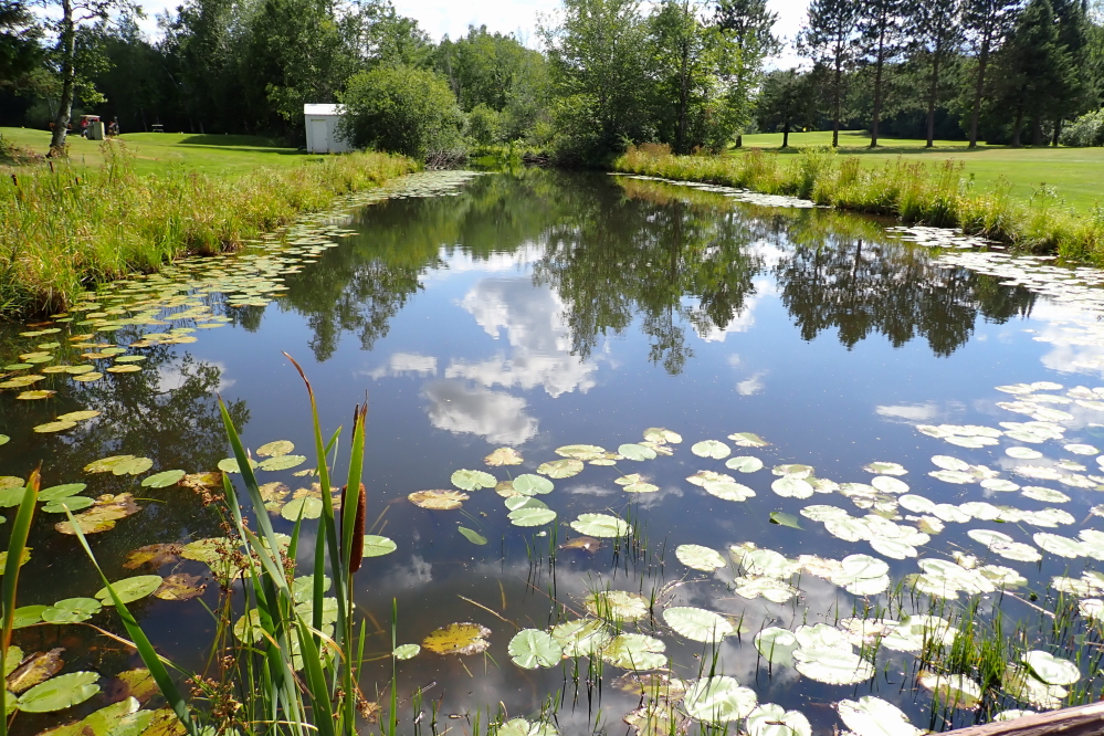 The water hazards are really full and skierless for the most part.