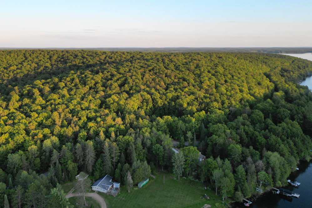 The hill on the northeast end of the lake is starting to show a wee (very wee) bit of Fall color.