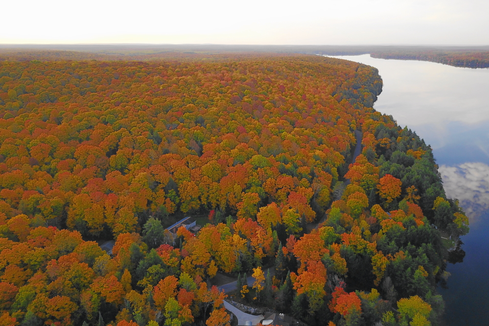 It's hard to pin down peak to a particular day, but if forced this year, I'd say that the colors peaked last Wednesday (October 5th)