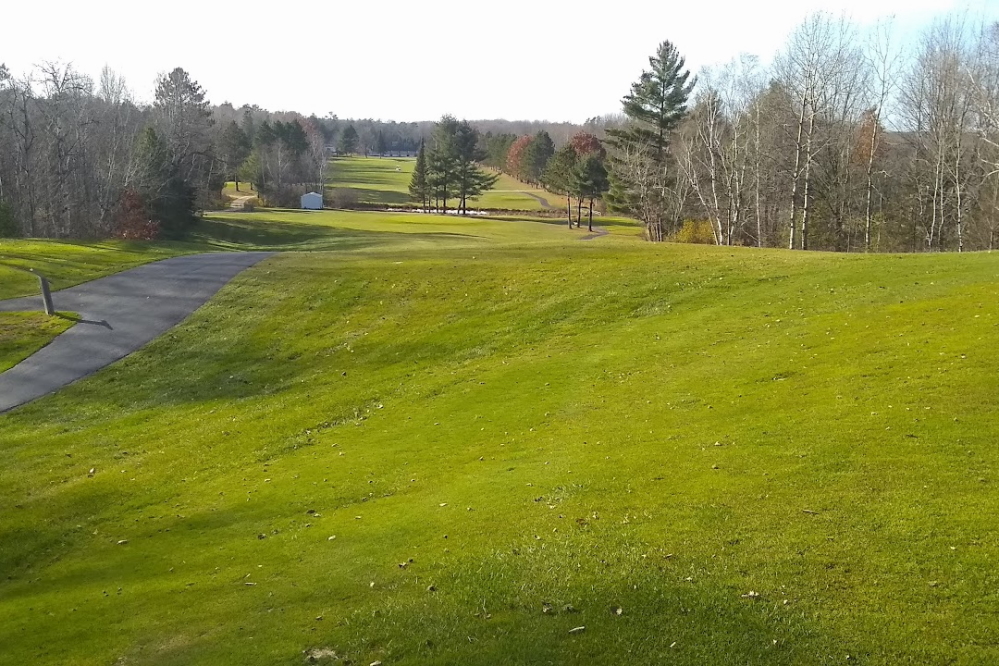 The loggers were done and golf was back at the end of the week. Many of the removed trees will not be missed.