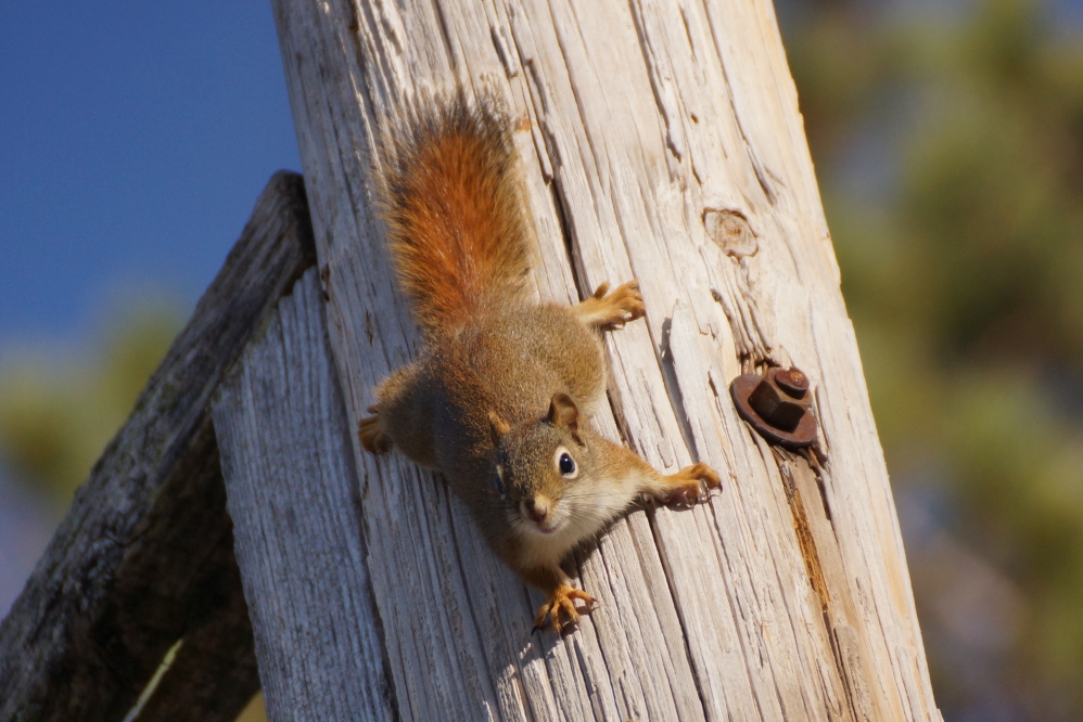 The less said about this guy's appetite the better.