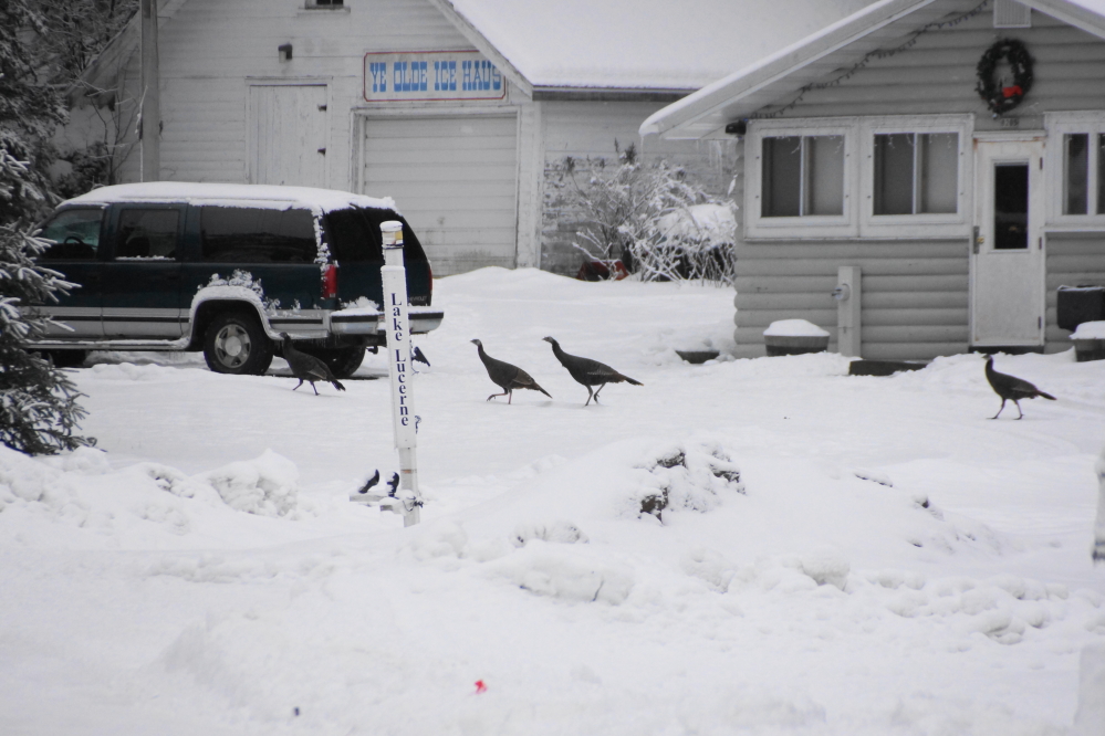 And others were walking around not really looking at anything like the generally wild lunatics that they are.